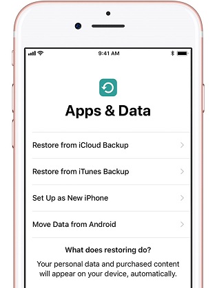 obnovení ze zálohy icloud