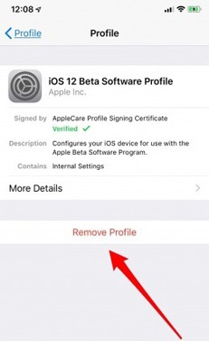 Kaip išspręsti Nepavyko atnaujinti „iPad“ į „iOS 12 / 12.3“
