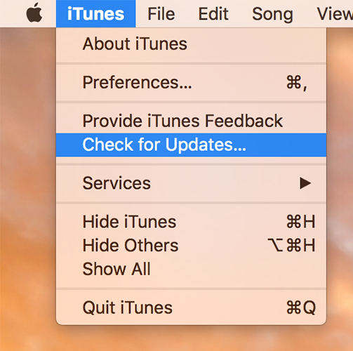 [แก้ปัญหา] iTunes ไม่สามารถสำรองข้อมูล iPhone