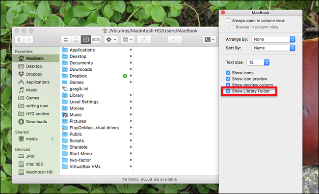 zeige Bibliotheksordner mac