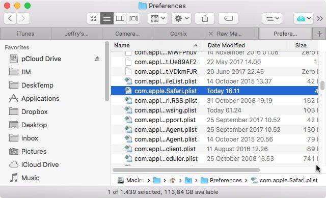 File delle preferenze di Safari